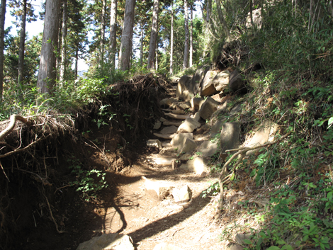 20181025hike (32)